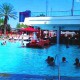 best pools in vegas palms